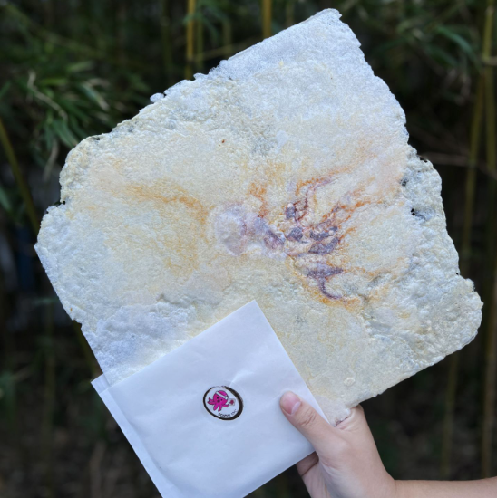 Octopus Senbei